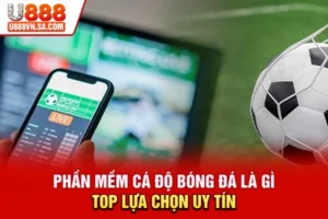 Phần Mềm Cá Độ Bóng Đá Là Gì? Top Lựa Chọn Uy Tín